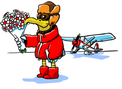 Rozvoz květin - kurýrní služba Praha